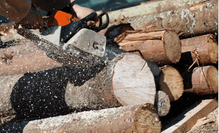Featured Image for Occupational hazards in the Forestry + Woodwork industry